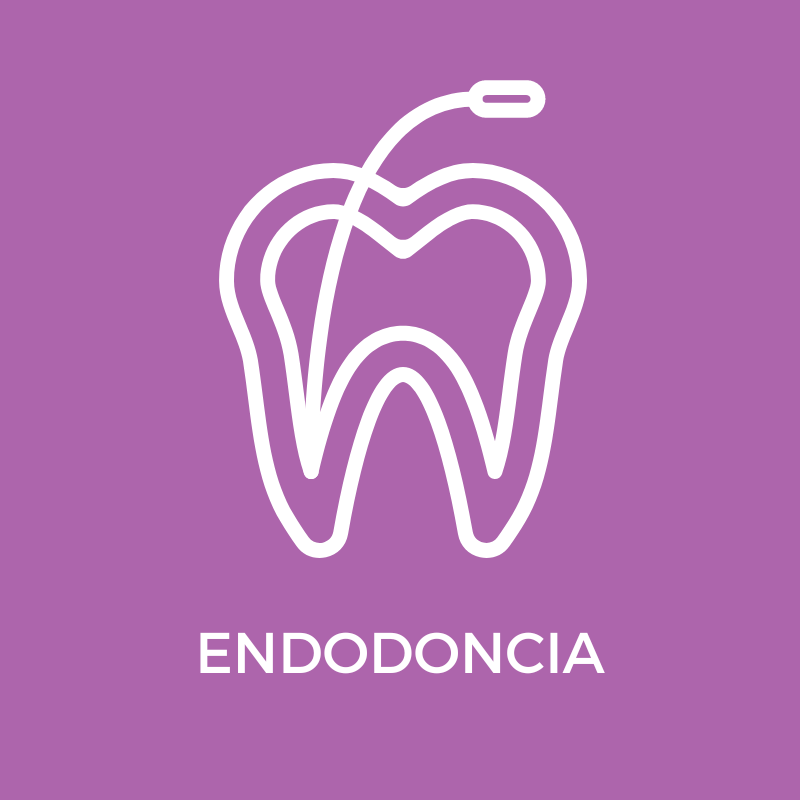 Endodoncia